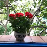 La Casa Del Limoneto Bed and breakfast