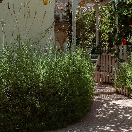 La Casa Del Limoneto