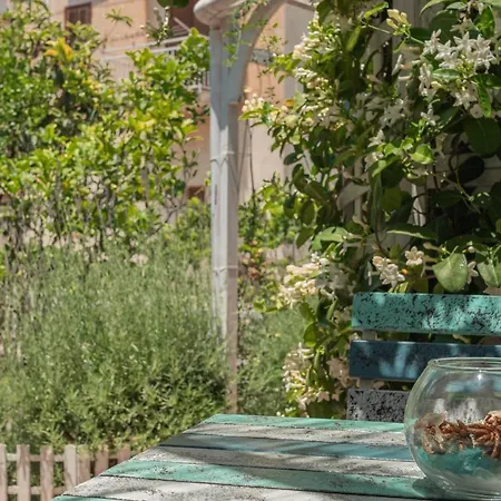 La Casa Del Limoneto Favignana