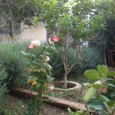 La Casa Del Limoneto Bed & Breakfast 3*