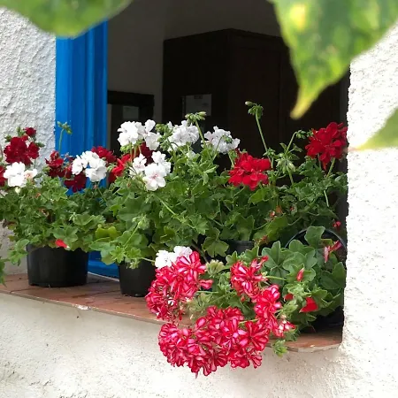 La Casa Del Limoneto Alojamento de Acomodação e Pequeno-almoço 3*
